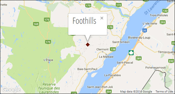 Foothills Map - Vior