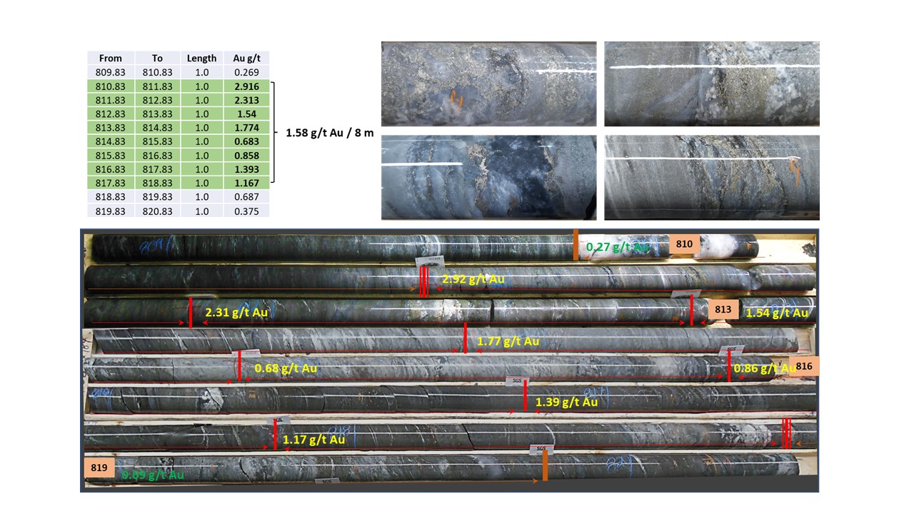 Figure 4: Drill core photo’s showing mineralization and gold distribution in drill hole BV21-002.